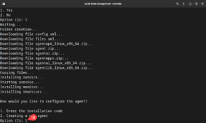 Linux – Install the Agent with Code (console) – DWService – Docs
