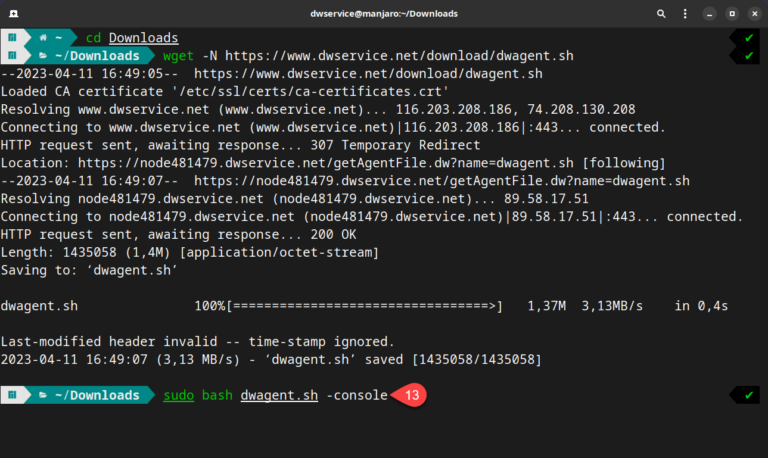 Linux – Install the Agent with Code (console) – DWService – Docs
